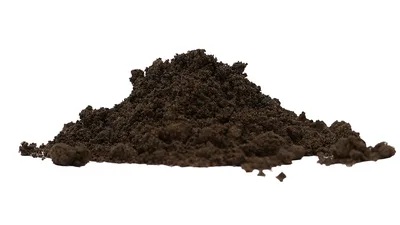 Zwarte Grond